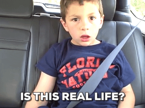 A GIF of a little boy in a car asking "is this real life?"
